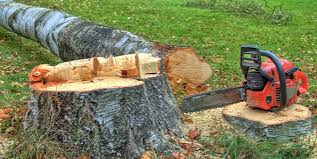 Best Lawn Maintenance Plans  in Mastic, NY