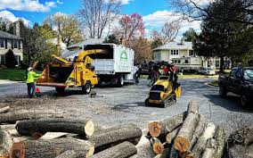 Best Artificial Turf Installation  in Mastic, NY
