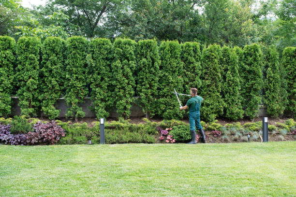 Best Tree Risk Assessment  in Mastic, NY
